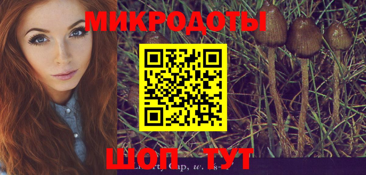 Дедовск  Псилоцибиновые грибы прущие грибы  Вход с VPN 